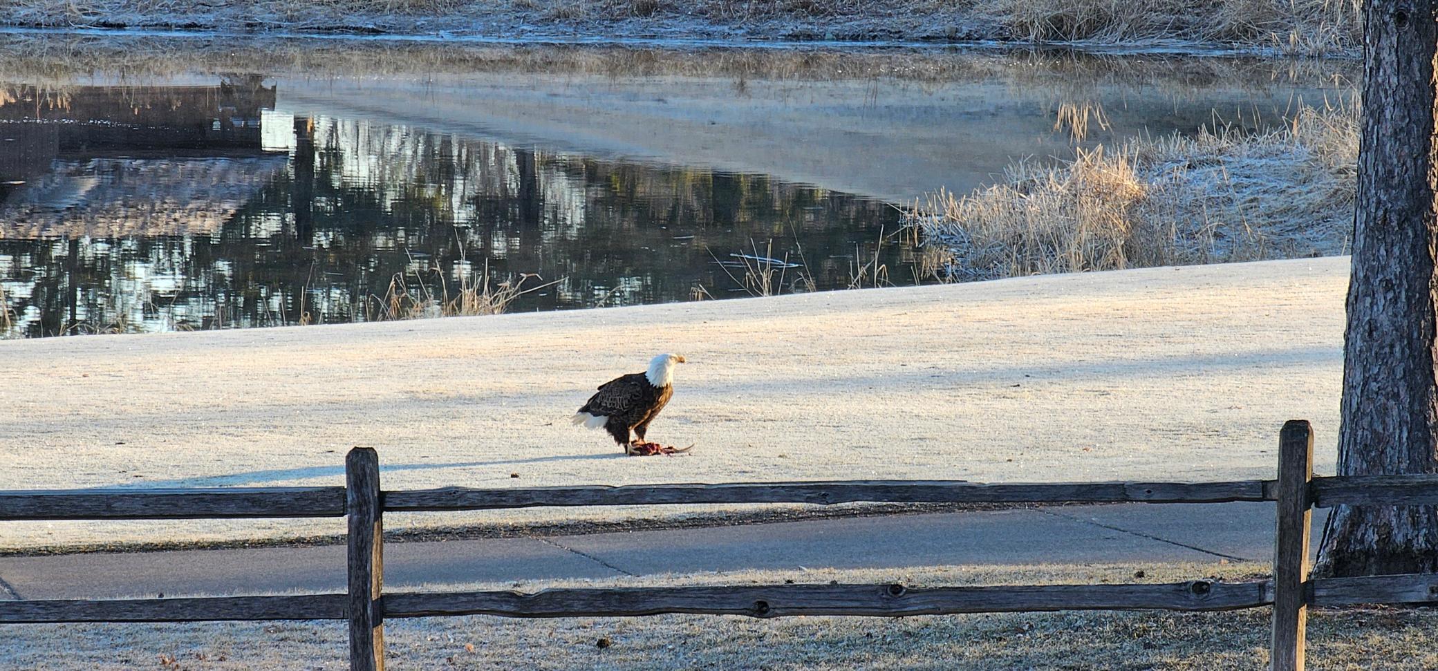1301 McKusick Rd Lane North Stillwater, MN 55082 - Photo 34 of 39