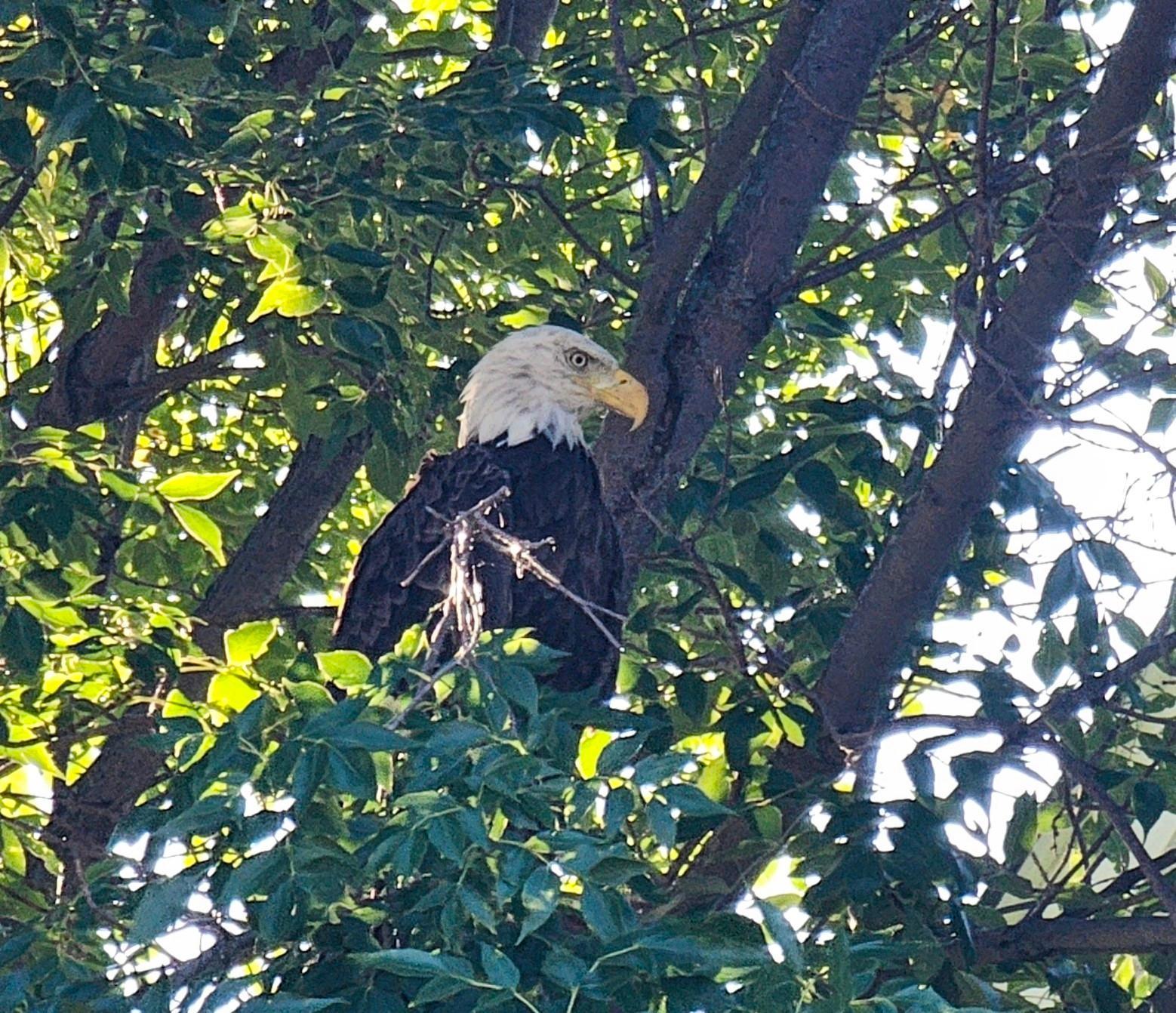1301 McKusick Rd Lane North Stillwater, MN 55082 - Photo 35 of 39