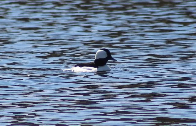 $445,000 | 1301 McKusick Rd Lane North, Stillwater, MN 55082