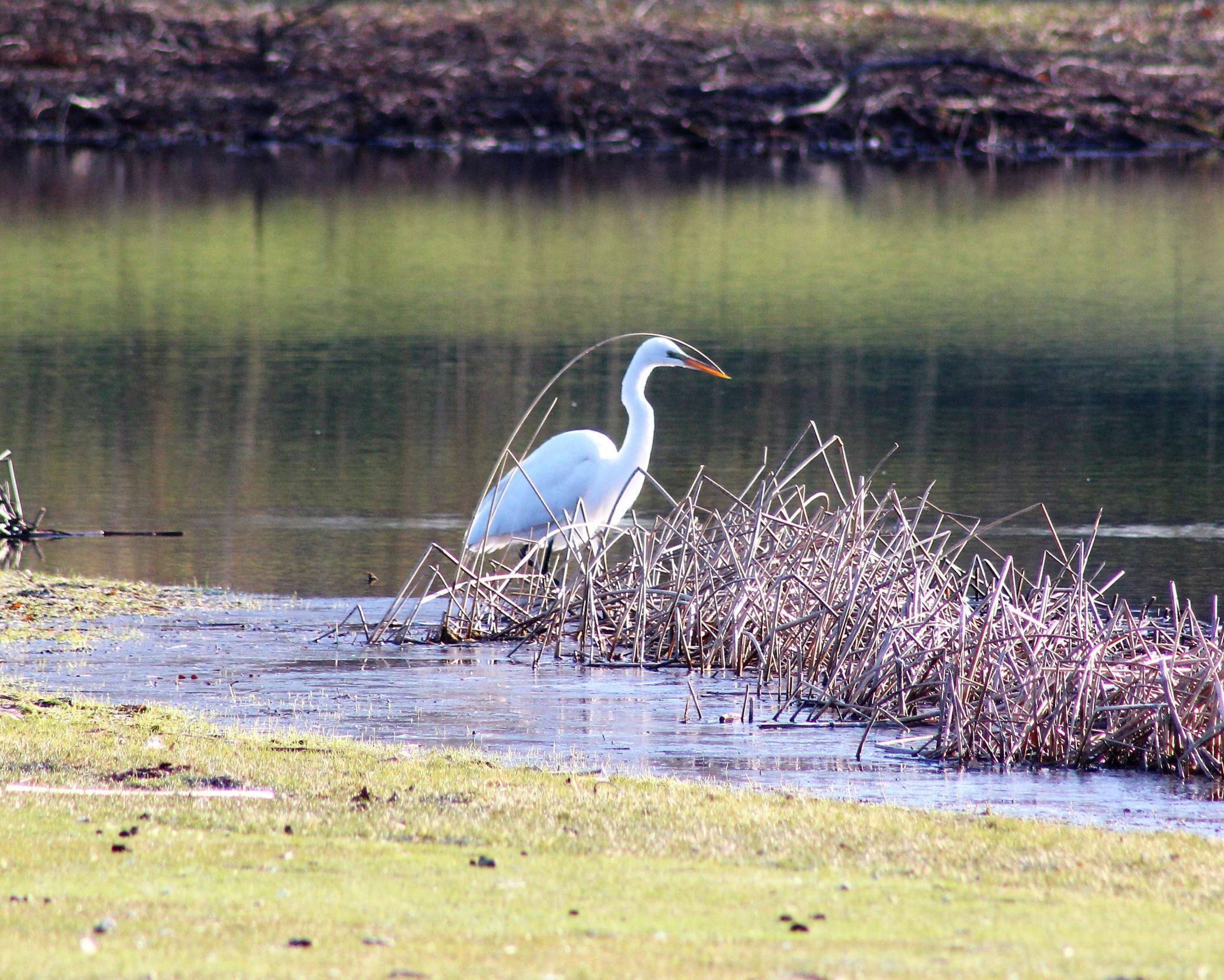 1301 McKusick Rd Lane North Stillwater, MN 55082 - Photo 38 of 39