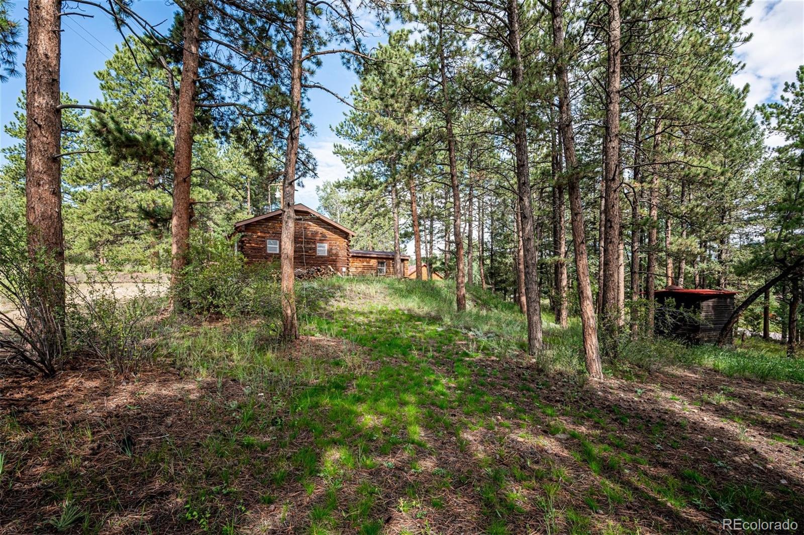 33613 Kerr Road Pine, CO 80470 - Photo 16 of 21 Gallery Image 16