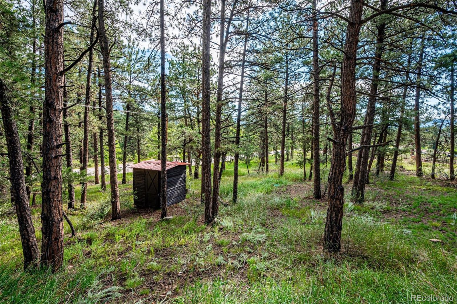 33613 Kerr Road Pine, CO 80470 - Photo 17 of 21 Gallery Image 17