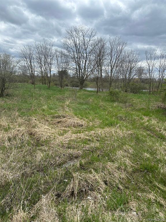 9330 Perry Road Goodrich, MI 48438 - Photo 1 of 6