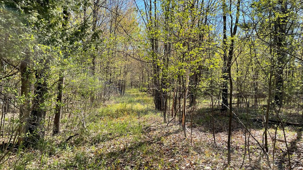 278 Patent Road Peru, NY 12972 - Photo 7 of 11