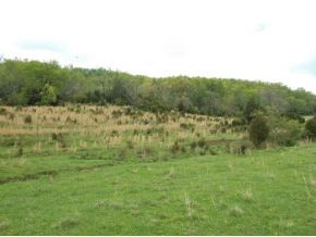 Tbd Henson Road, Unit 17 Bristol, TN 37620 - Photo 2 of 6 Photo 2