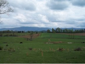 Tbd Henson Road, Unit 17 Bristol, TN 37620 - Photo 3 of 6 Photo 3