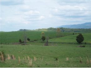 Tbd Henson Road, Unit 17 Bristol, TN 37620 - Photo 4 of 6 Photo 4