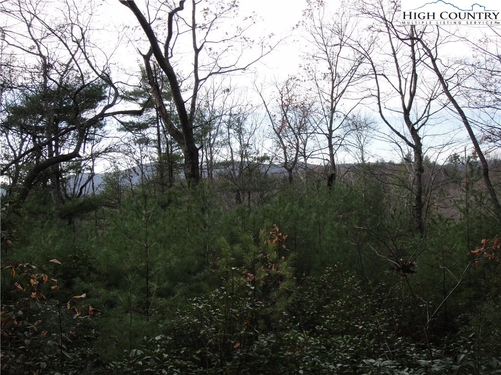 Lot 161 Staghorn Road Purlear, NC 28665 - Photo 11 of 20 Gallery Image 11