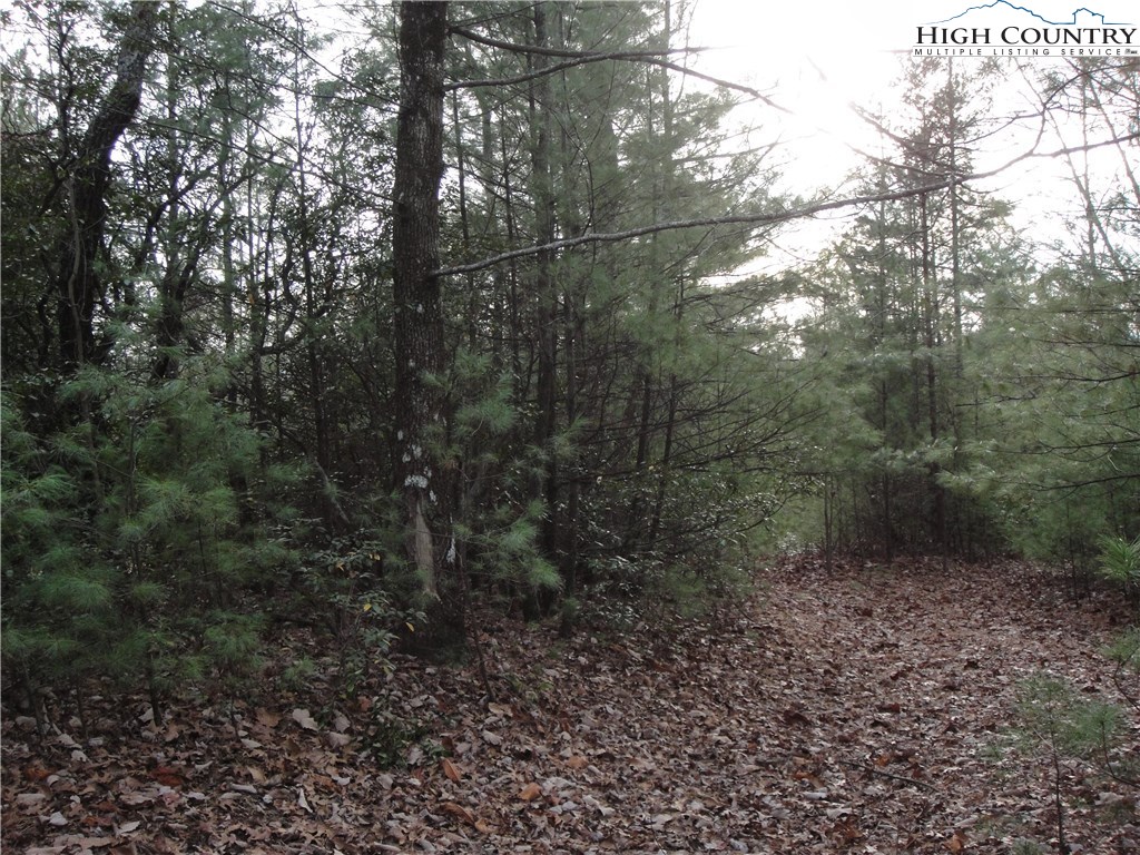 Lot 161 Staghorn Road Purlear, NC 28665 - Photo 12 of 20 Gallery Image 12