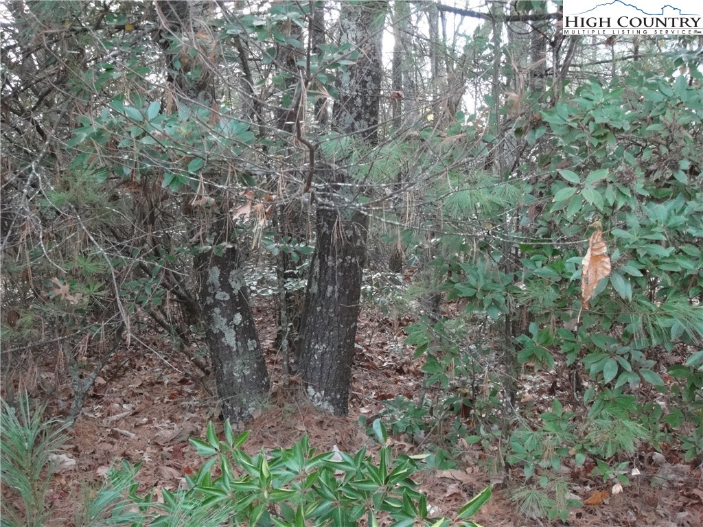 Lot 161 Staghorn Road Purlear, NC 28665 - Photo 13 of 20 Gallery Image 13