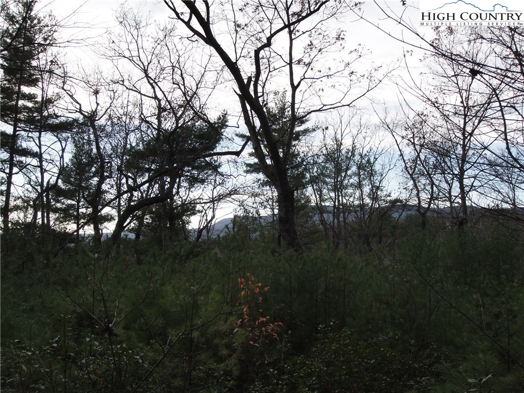 Lot 161 Staghorn Road Purlear, NC 28665 - Photo 2 of 20 Gallery Image 2