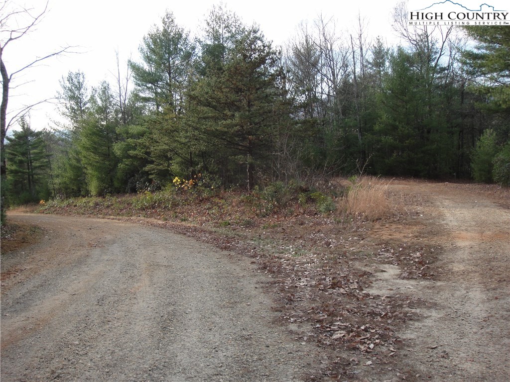 Lot 161 Staghorn Road Purlear, NC 28665 - Photo 3 of 20 Gallery Image 3