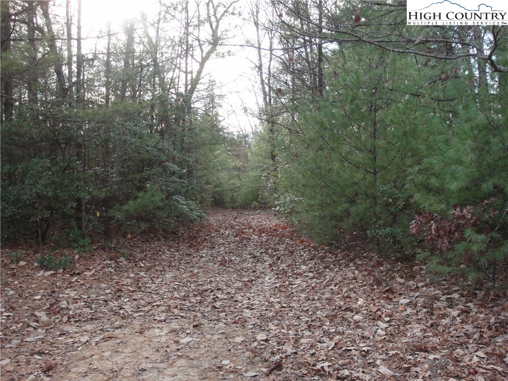 Lot 161 Staghorn Road Purlear, NC 28665 - Photo 4 of 20 Gallery Image 4