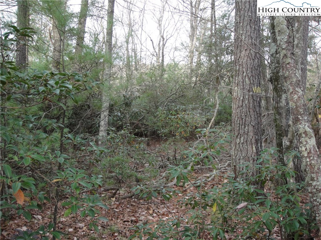 Lot 161 Staghorn Road Purlear, NC 28665 - Photo 5 of 20 Gallery Image 5