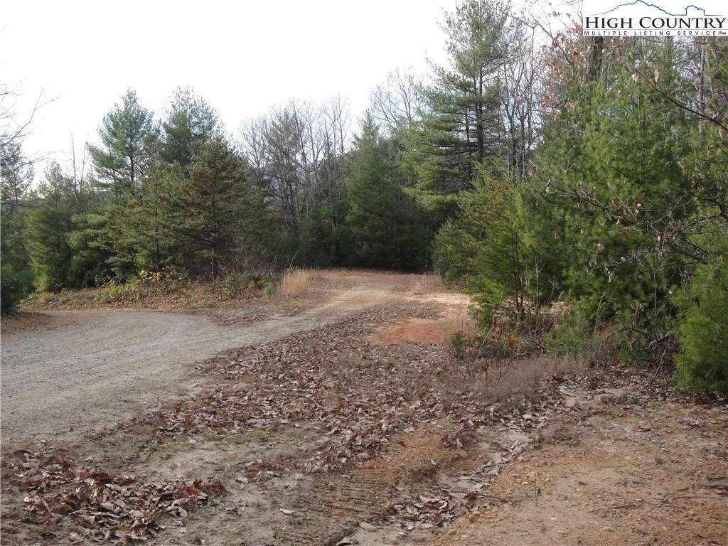 Lot 161 Staghorn Road Purlear, NC 28665 - Photo 6 of 20 Gallery Image 6