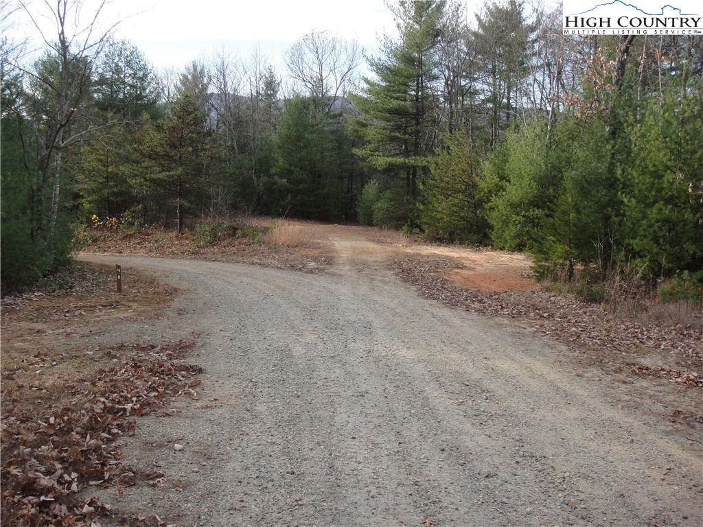 Lot 161 Staghorn Road Purlear, NC 28665 - Photo 7 of 20 Gallery Image 7