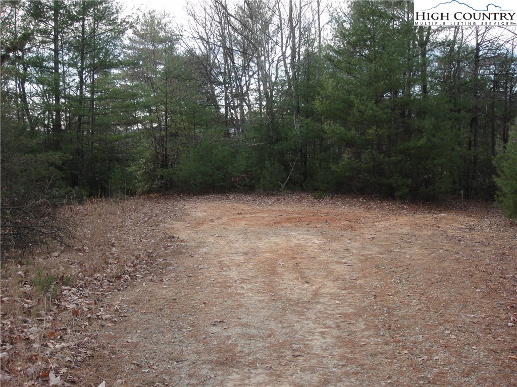 Lot 161 Staghorn Road Purlear, NC 28665 - Photo 9 of 20 Gallery Image 9