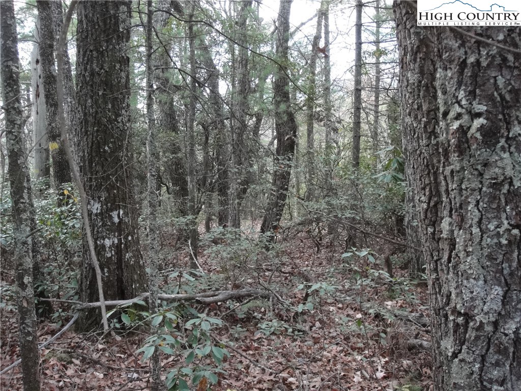 Lot 161 Staghorn Road Purlear, NC 28665 - Photo 10 of 20 Gallery Image 10