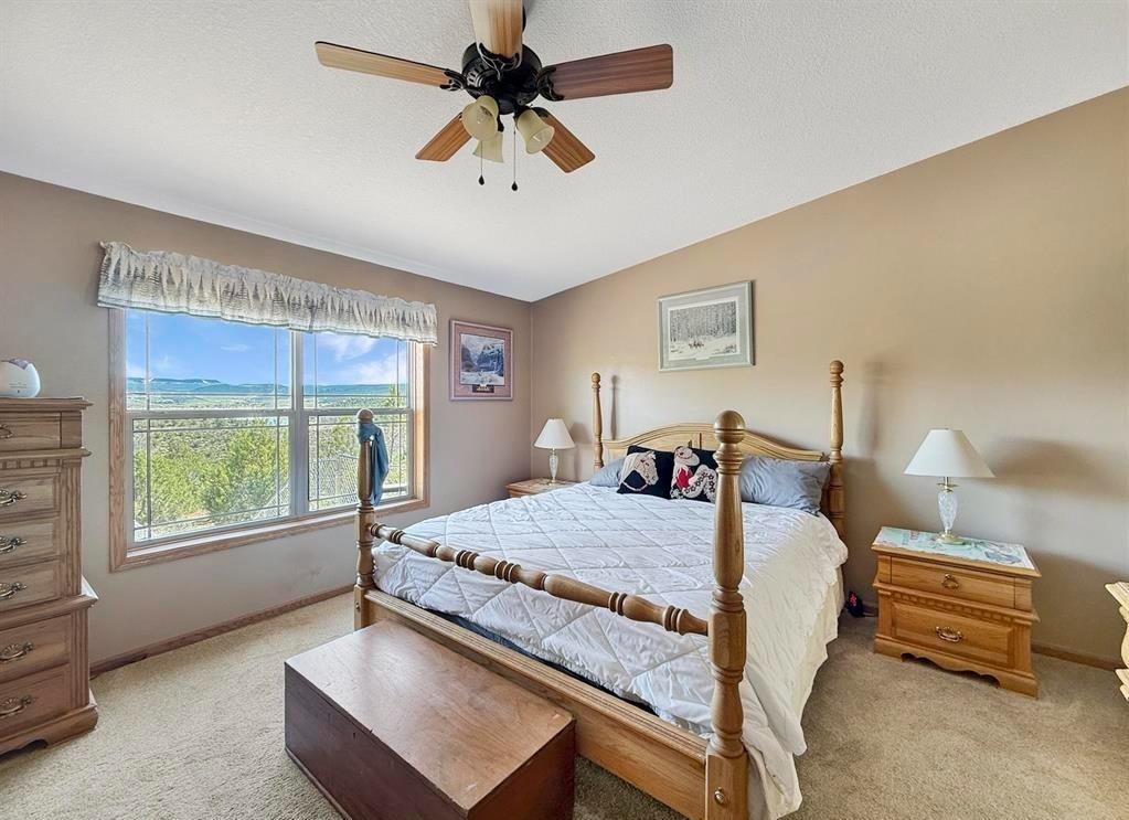 40331 D Road Crawford, CO 81415 - Photo 36 of 42 Gallery Image 36