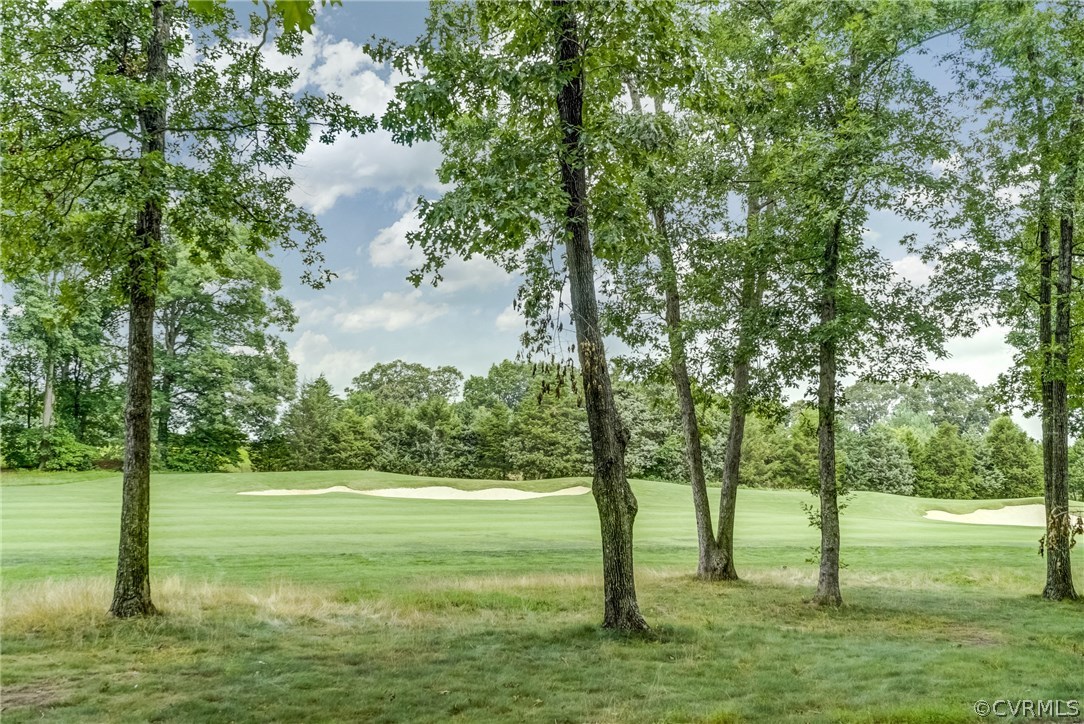 2670 Gullane Road Powhatan, VA 23139 - Photo 8 of 45 Gallery Image 8