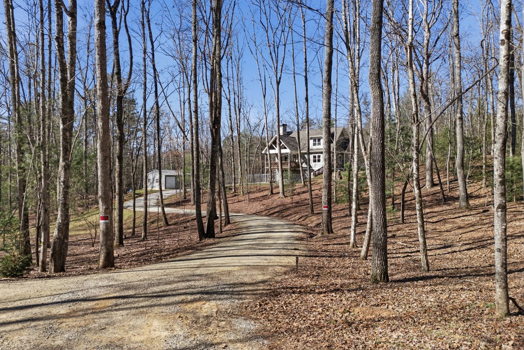 753 Pit Road Blairsville, GA 30512 - Photo 6 of 65