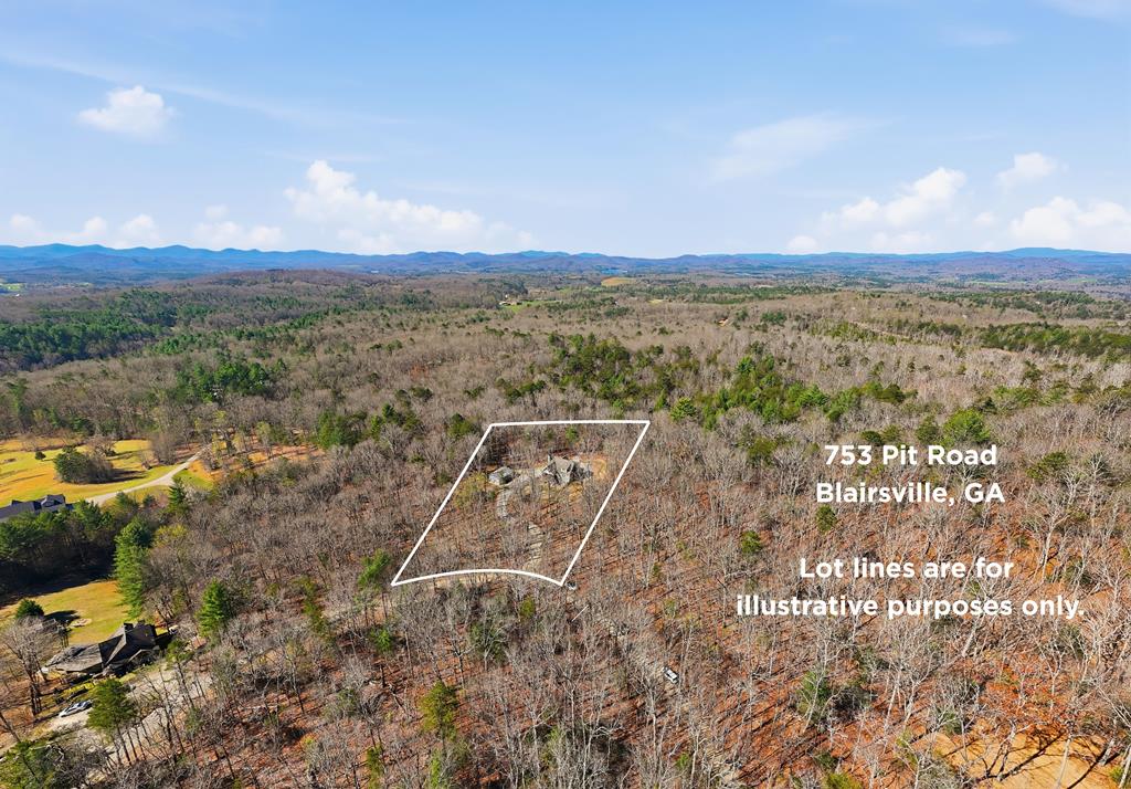 753 Pit Road Blairsville, GA 30512 - Photo 65 of 65