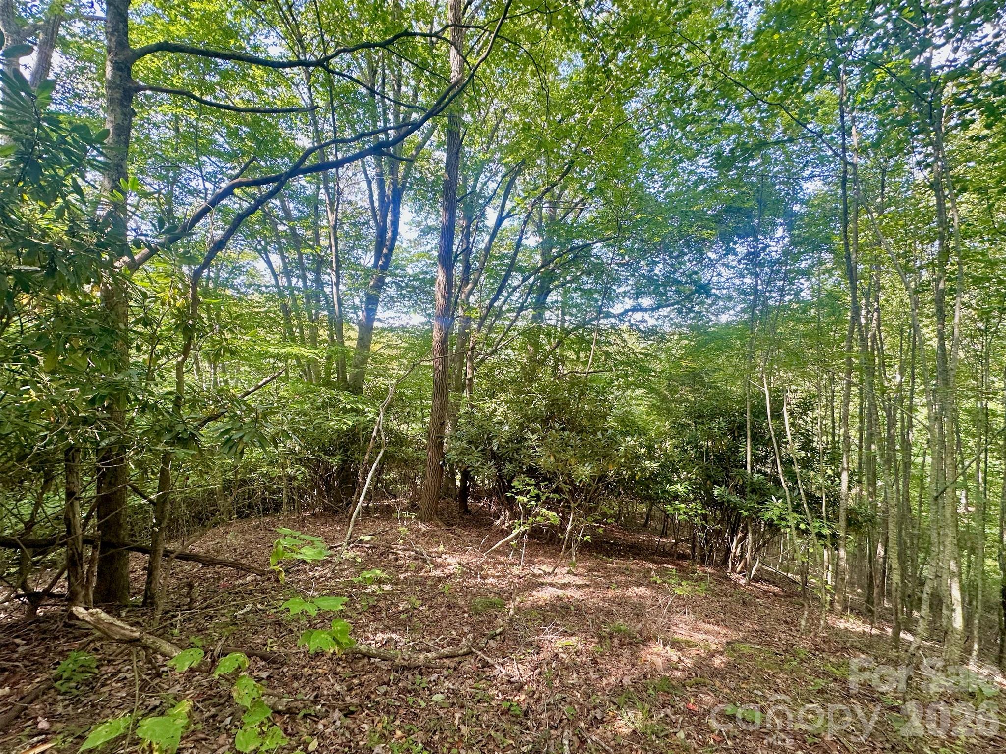 Tbd Old Anderson Quarry Road Vilas, NC 28692 - Photo 13 of 21