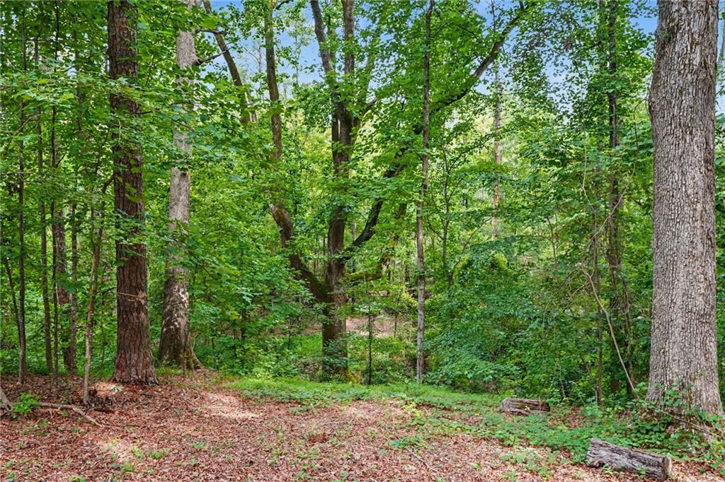 351 Teamon Road Griffin, GA 30223 - Photo 47 of 61 Gallery Image 47