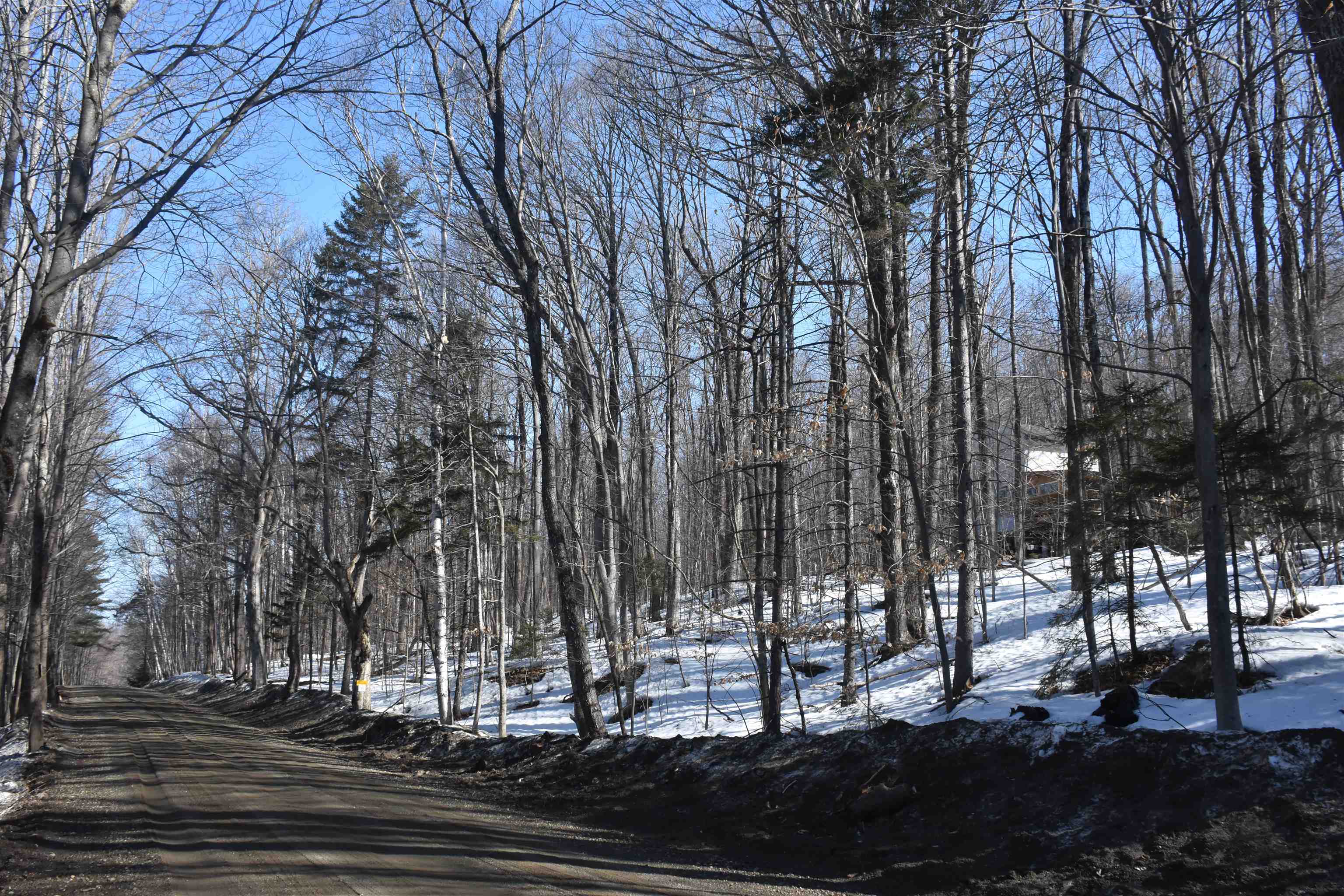 397 Winch Hill Extension Roxbury, VT 05663 - Photo 48 of 57