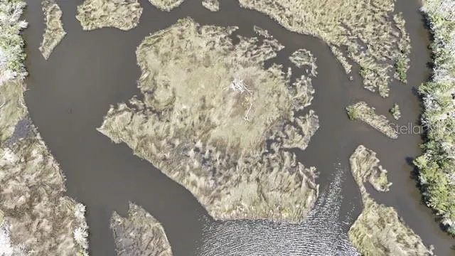 a view of a sky from a yard