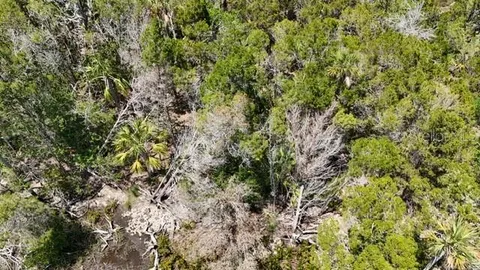 $99,900 | 13495 Sportsmans Island, Crystal River, FL 34429