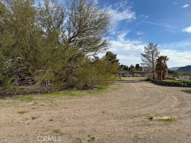 a view of dirt field with trees
