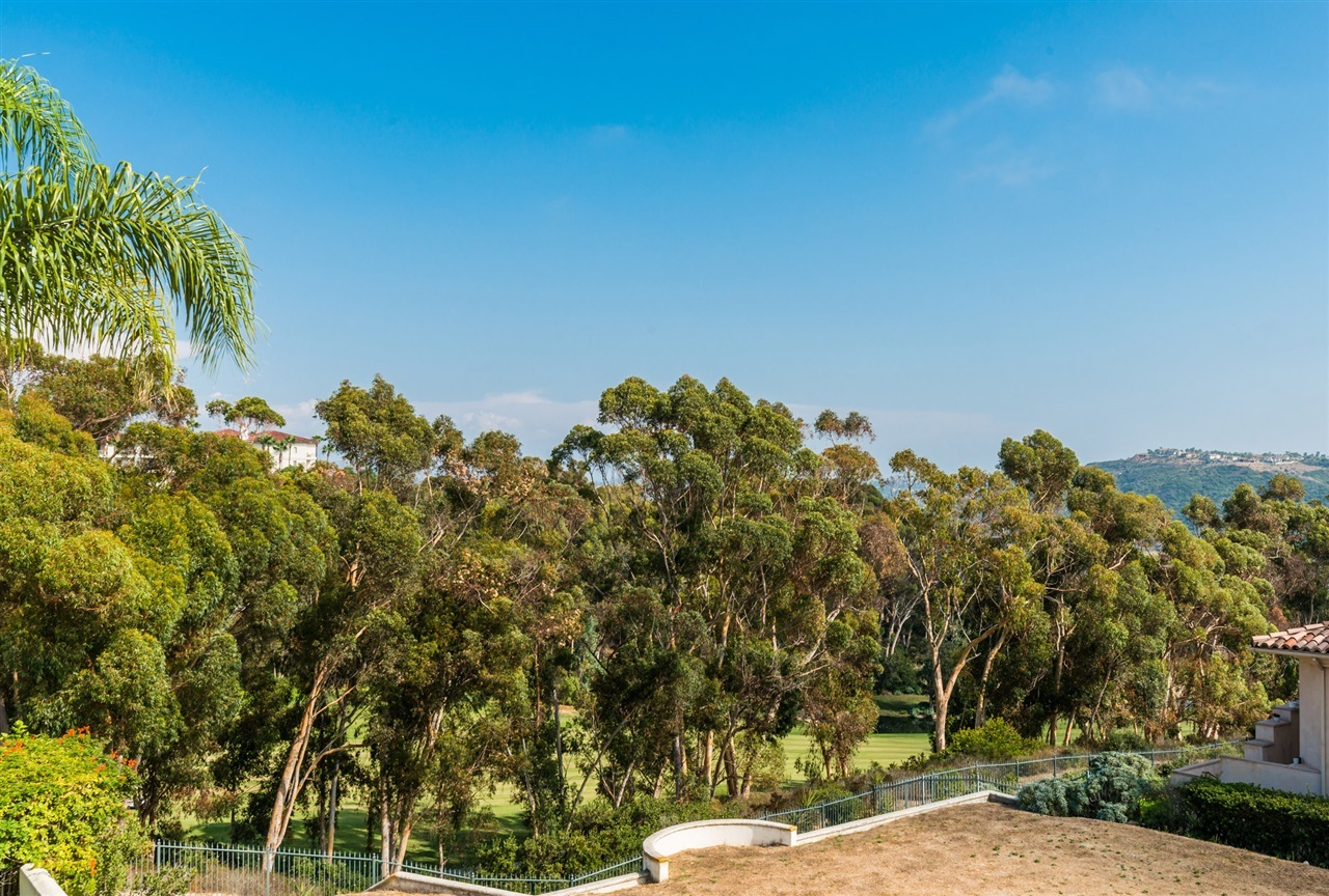7180 Aviara Drive Carlsbad, CA 92011 - Photo 20 of 23