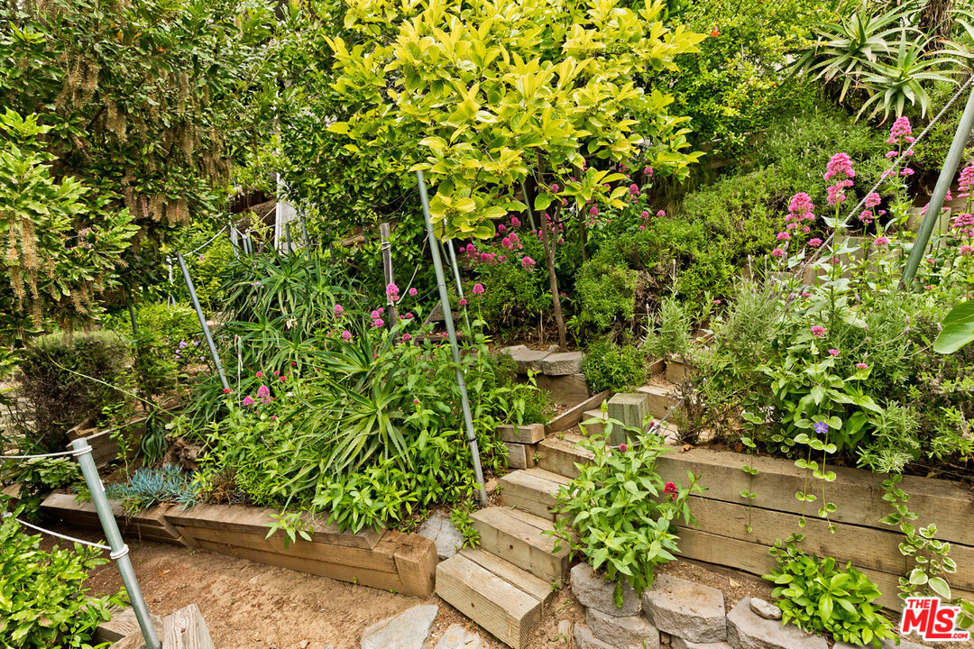 2205 Stradella Road Los Angeles, CA 90077 - Photo 51 of 53 a view of a garden with plants