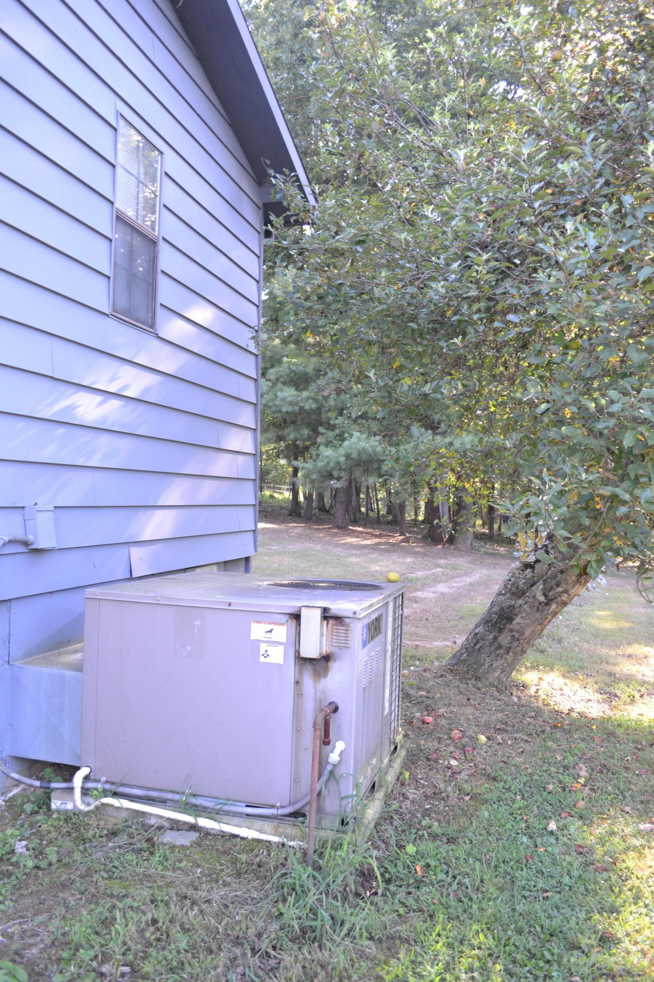 313 Peters Ford Road Sunbright, TN 37872 - Photo 12 of 24