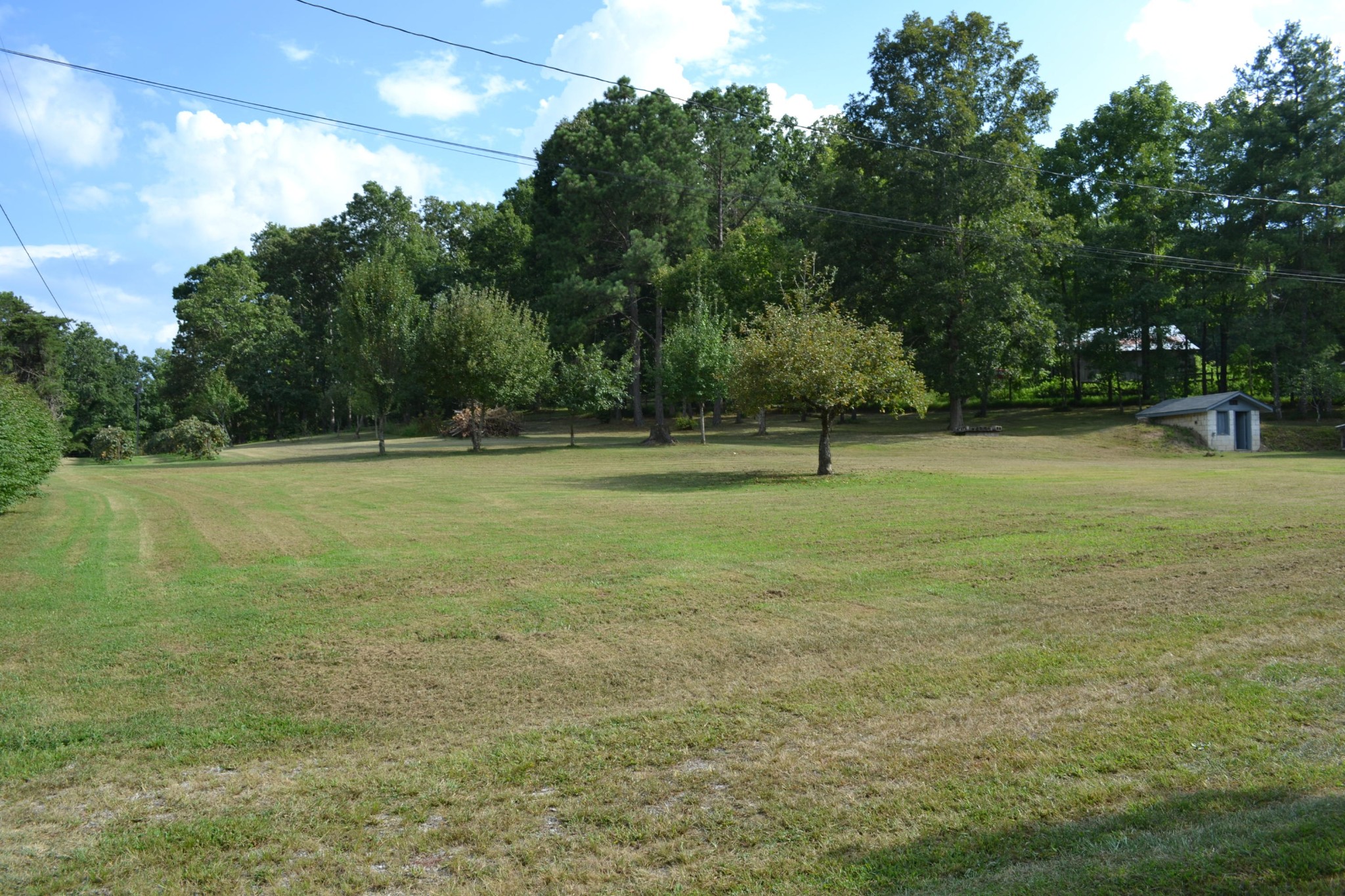 313 Peters Ford Road Sunbright, TN 37872 - Photo 18 of 24