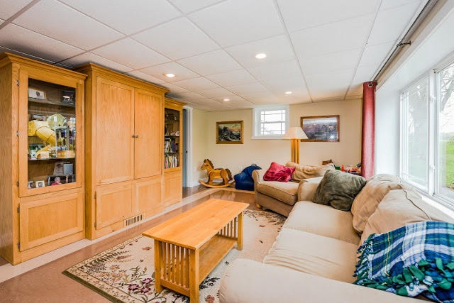 5313 North Branch Road Coloma, MI 49038 - Photo 17 of 30 N Branch LL Rec room