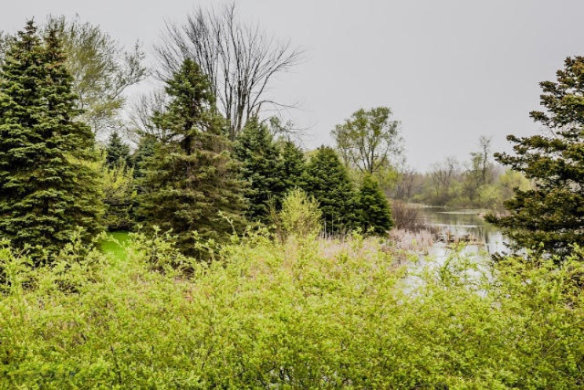 5313 North Branch Road Coloma, MI 49038 - Photo 24 of 30 N branch pond view 1