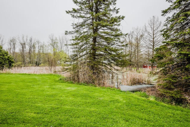 5313 North Branch Road Coloma, MI 49038 - Photo 27 of 30 N Branch pond 1