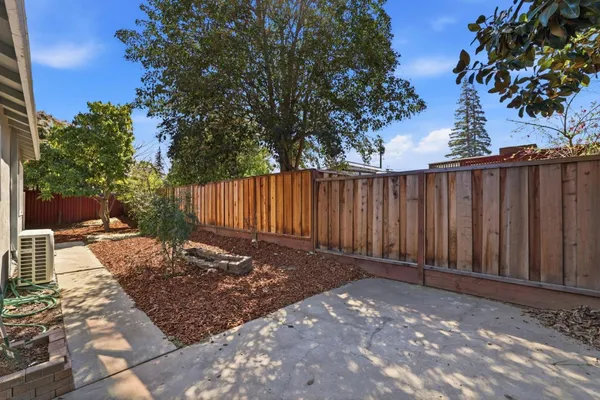 a view of a backyard with plants and large tree