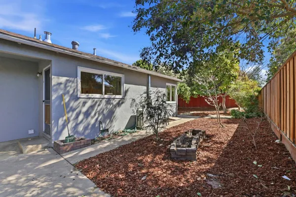 a view of a yard with plants and trees