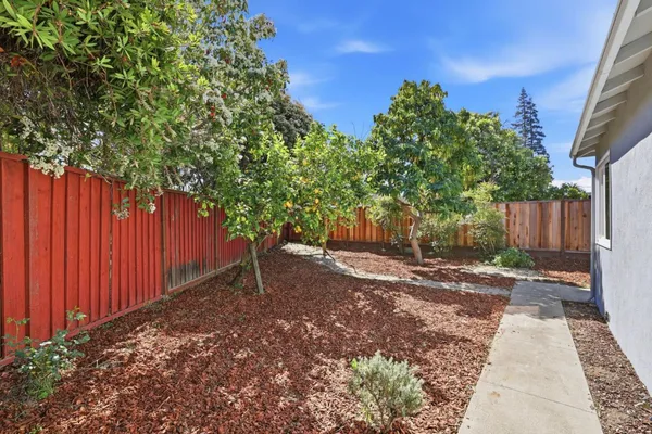 a wooden fence with a tree in the background