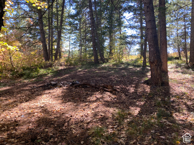 St, Unit 56 Bancroft, ID 83217 - Photo 13 of 17