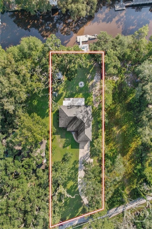 120 Pinetree Road Midway, GA 31320 - Photo 10 of 35 Aerial home and grounds