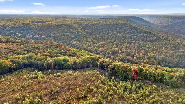 $228,000 | 0 Doc Roberts Road, Spencer, TN 38585