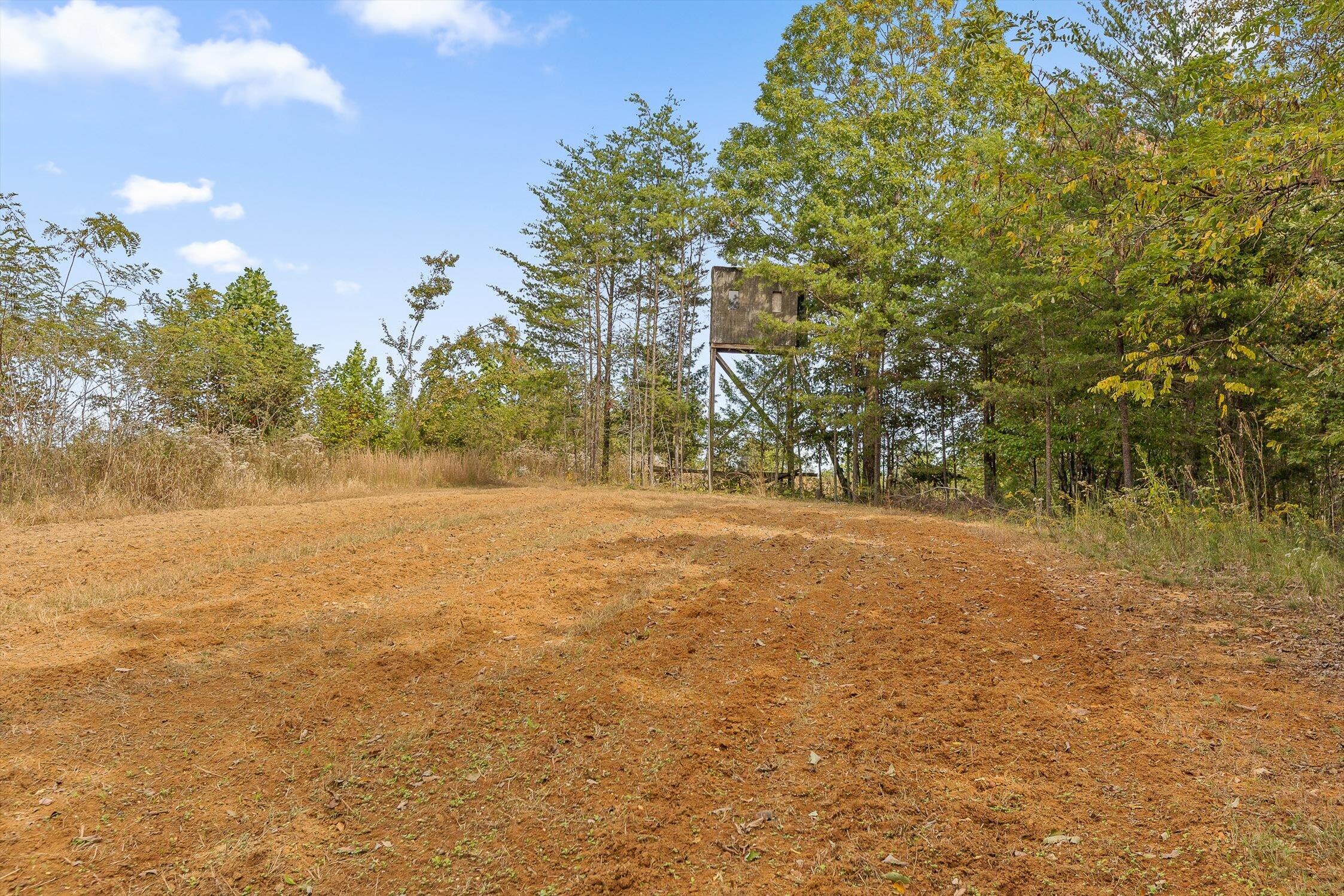 0 Doc Roberts Road Spencer, TN 38585 - Photo 12 of 38 Roberts Road, Spencer, TN 38585