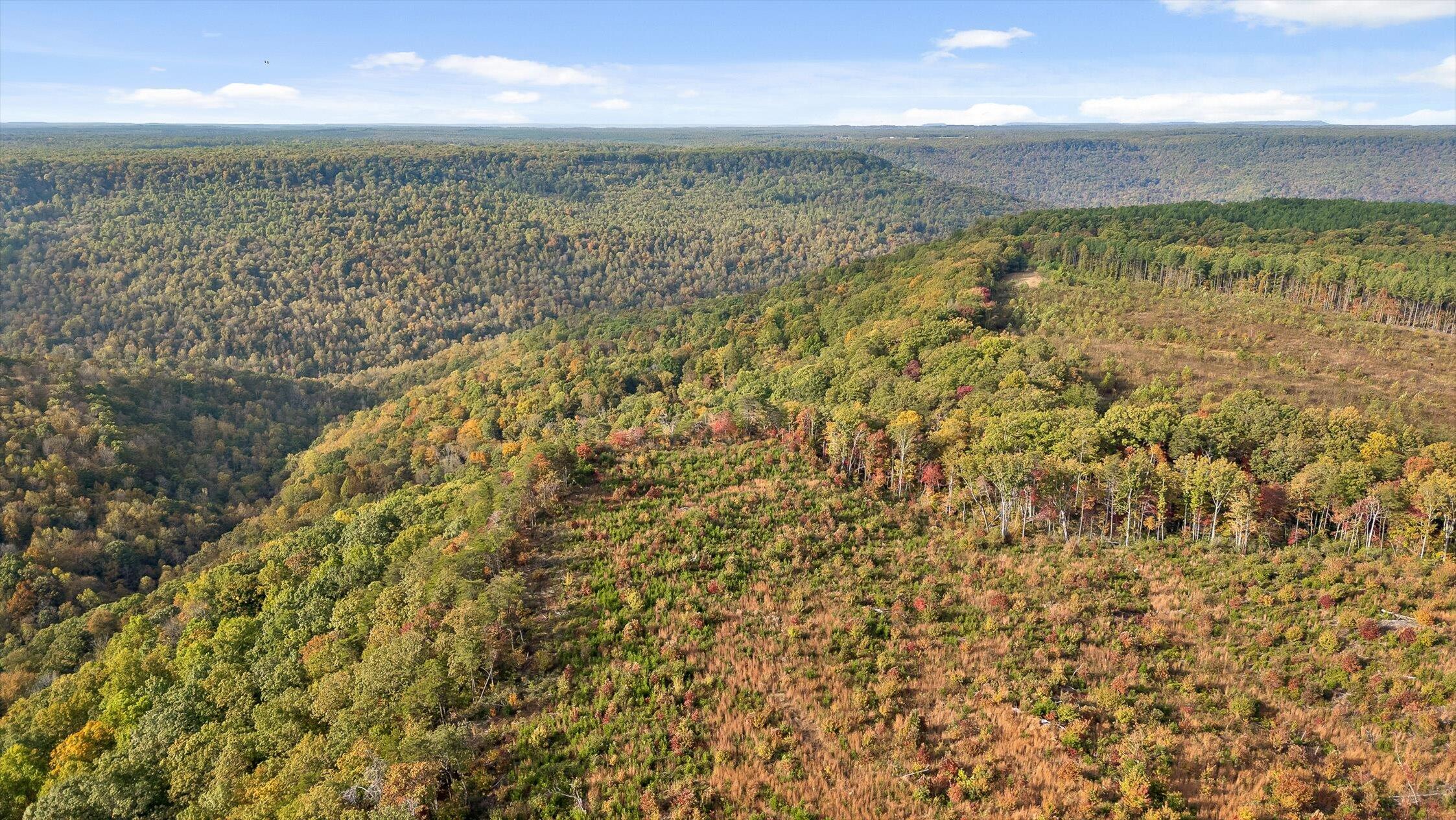 0 Doc Roberts Road Spencer, TN 38585 - Photo 2 of 38 Roberts Road, Spencer, TN 38585