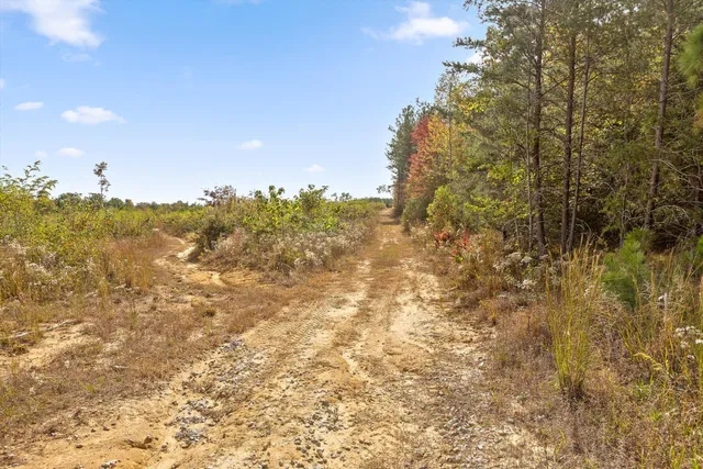 $228,000 | 0 Doc Roberts Road, Spencer, TN 38585