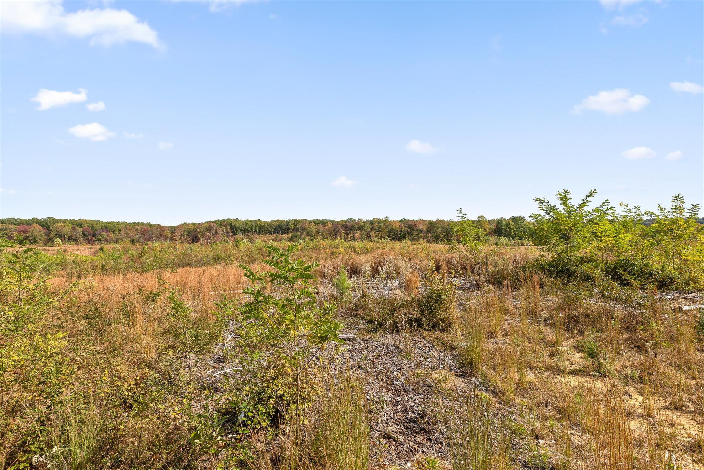 0 Doc Roberts Road Spencer, TN 38585 - Photo 23 of 38 Roberts Road, Spencer, TN 38585