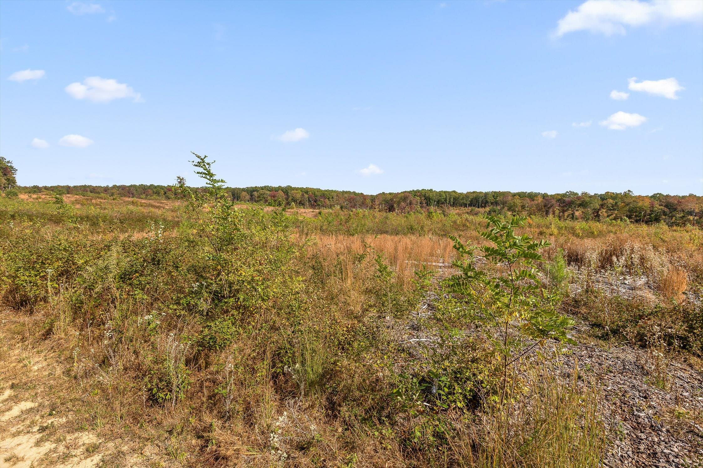 0 Doc Roberts Road Spencer, TN 38585 - Photo 24 of 38 Roberts Road, Spencer, TN 38585